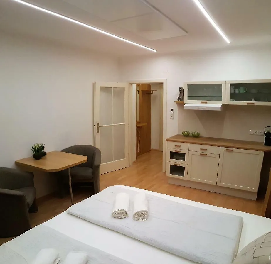 Vienna City Apartment In Mariahilfer Strasse
